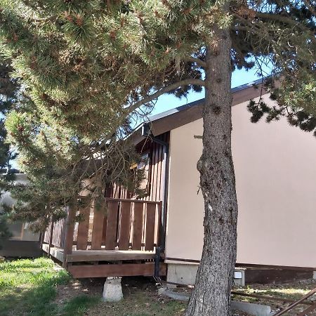Chalet De L Ours Bolquere Pyrenees 2000 Exterior foto