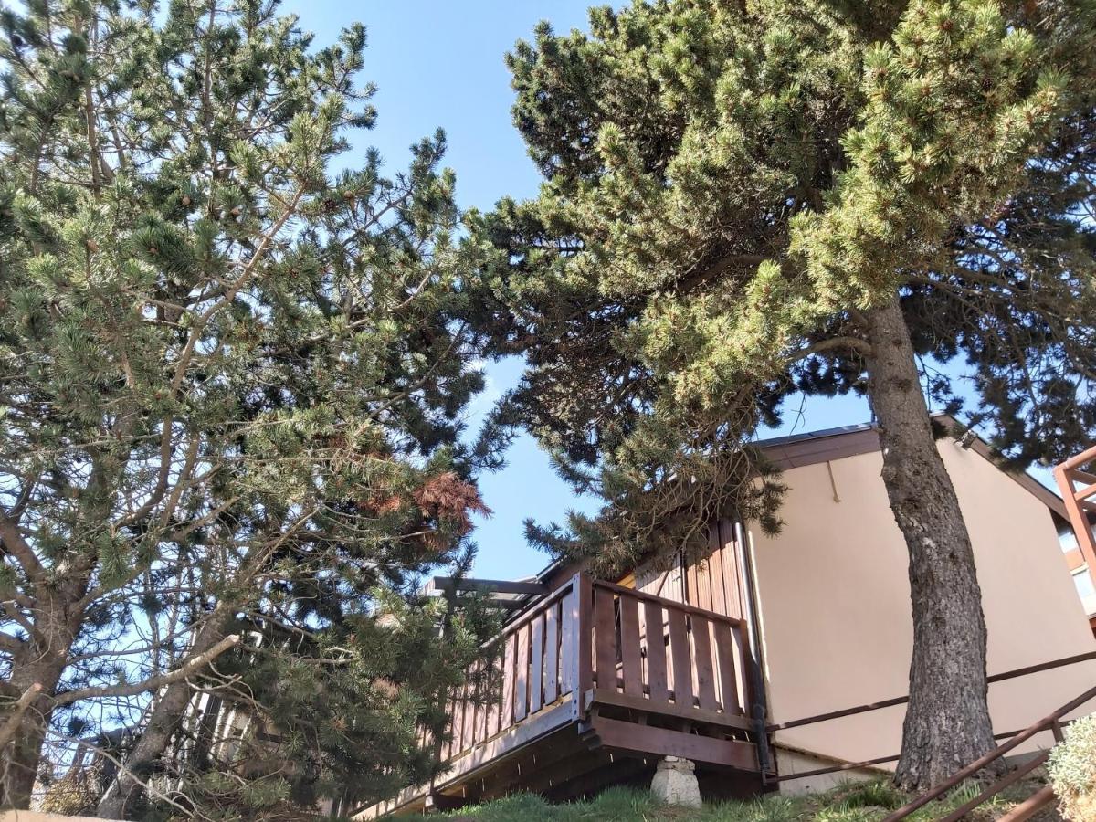 Chalet De L Ours Bolquere Pyrenees 2000 Exterior foto